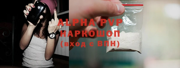 прущий лед Богданович